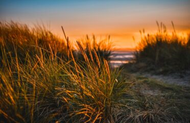 blog-grid-1-410x308